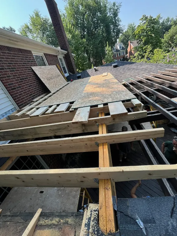 Roof framing with new sheathing being installed between existing structures